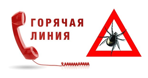 О горячей линии по профилактике клещевого энцефалита и других инфекций, передающихся клещами.